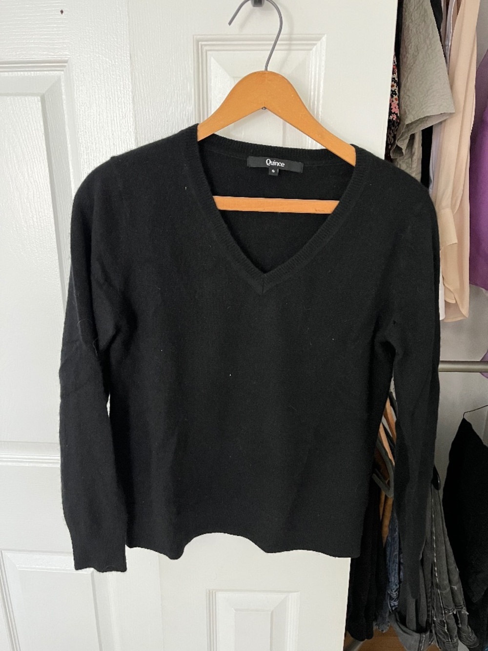 Quince v-neck cashmere sweater